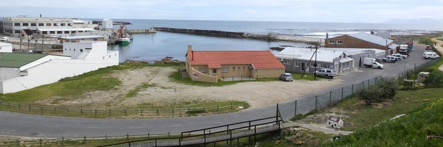 Gansbaai Miljoene vir Gansbaai Hawe_1